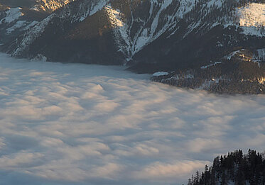 Am Feuerkogel über dem Nebel, (c) Oberösterreich Tourismus GmbH, Hermann Erber